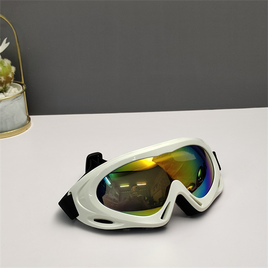 Oakley Ski Goggles 017